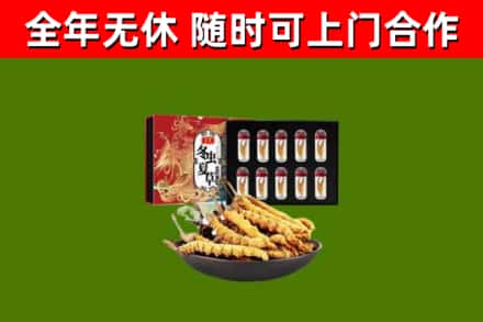石龙烟酒回收冬虫夏草礼盒.jpg